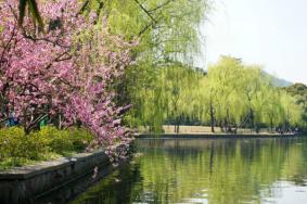 2023杭州西湖最值得玩的免费景点推荐